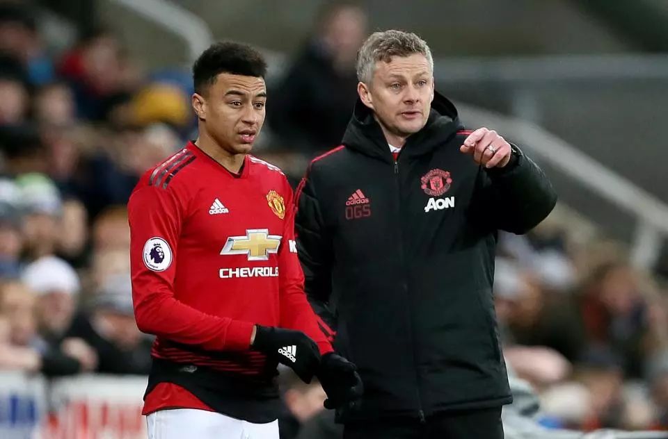 悉和适合的 悉和适合的